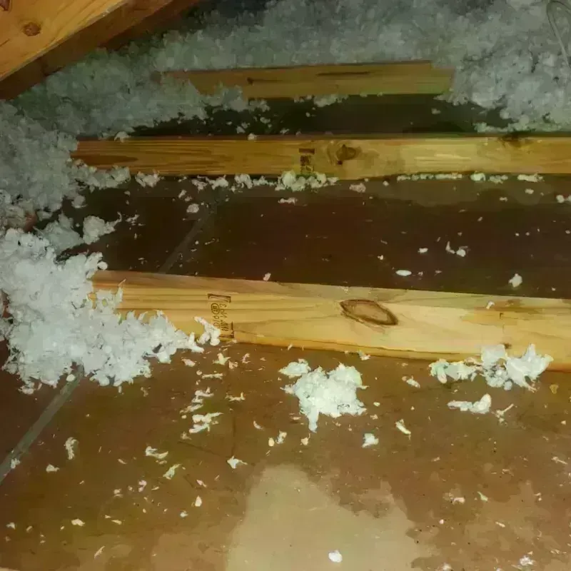 Attic Water Damage in Dallas County, IA