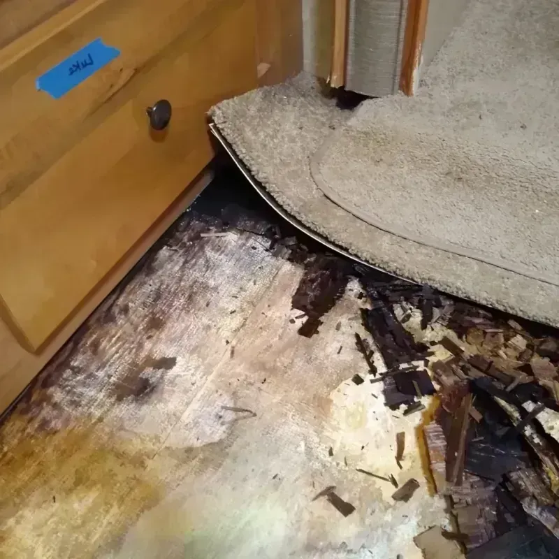 Best Wood Floor Water Damage Service in Dallas County, IA